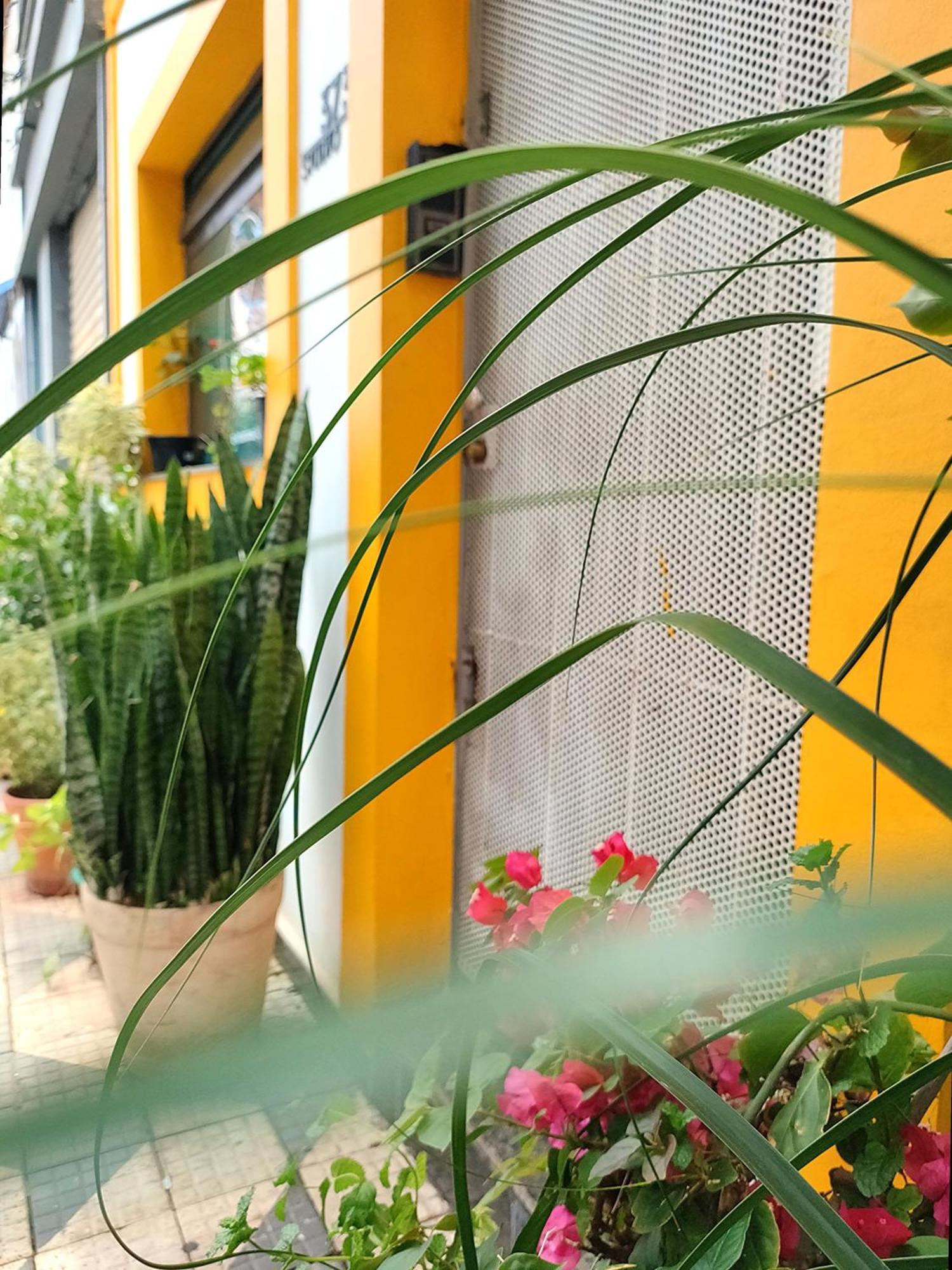 Casa 373 - Hospedaria Vila Mariana - Valores Acessiveis São Paulo Exteriör bild